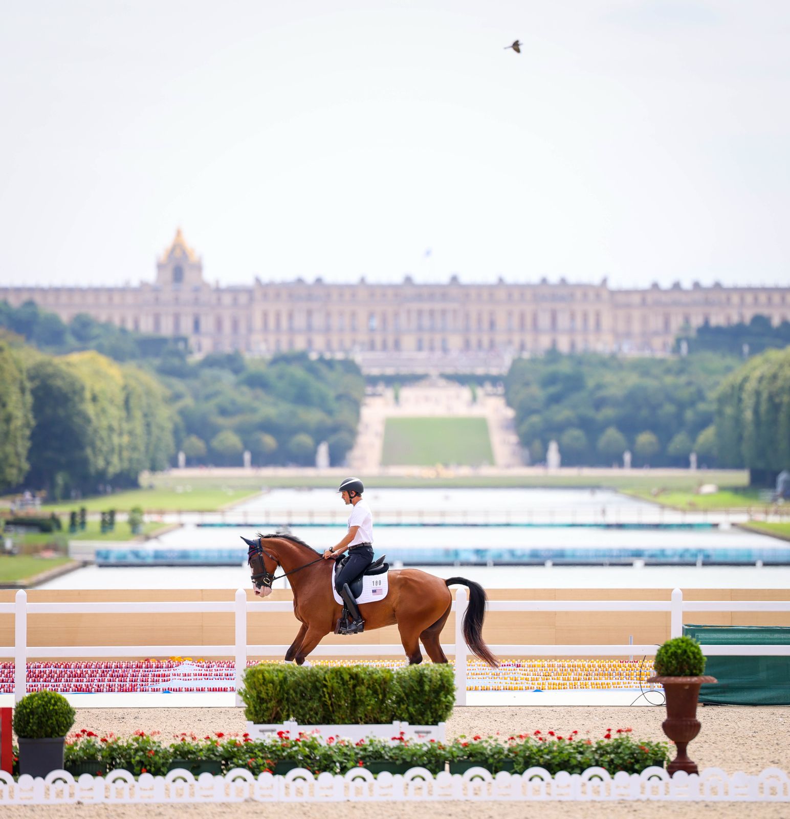 Boyd Martin rides Fedarman B at the Paris 2024 Olympic venue in Versailles.